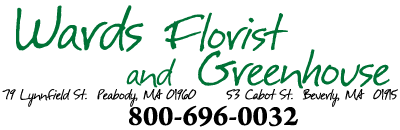 Wards Florist and Greenhouse 978-922-0032